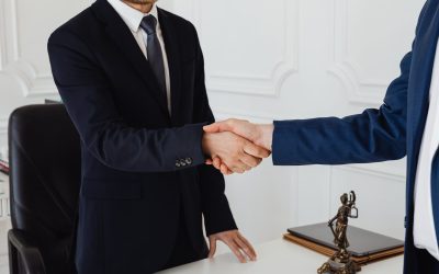 Delito de Insolvencia Punible
